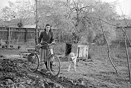 1954.12. N kerkprral, kerkpron teherhord vessz oldalkosrral. Httrben hzrz kutya, kutyallal.